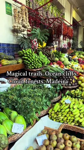 Madeira is pure magic ✨🌿🌊 Who’s hiking this dream island with you?👇🥾 #Madeira #TravelTok #BucketListTrips #visitportugal 