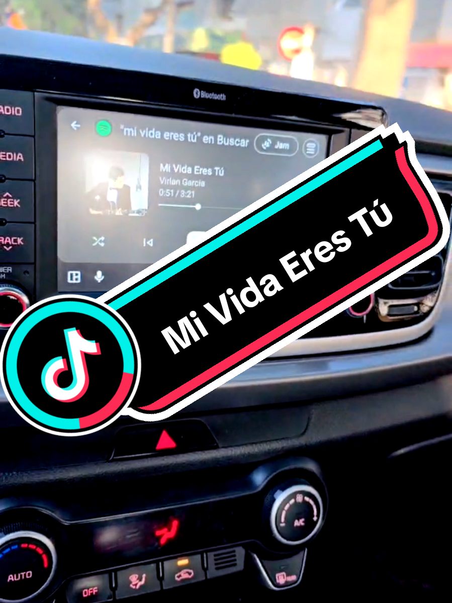 #mividaerestu #virlangarcia 