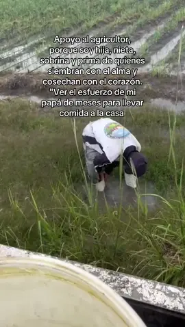 Apoyando a mi papá y hermanos campesinos por siempre 🧅🚜👨🏻‍🌾💚  #agricultores #paroagrario #campesinos #paratiiiiiiiiiiiiiiiiiiiiiiiiiiiiiii #fouryou 