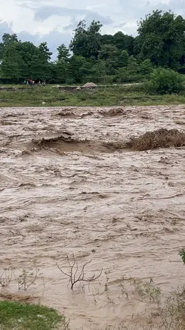 Ohh 😮 #flypシ #viralvideos #haitiantiktok🇭🇹 #fyou 