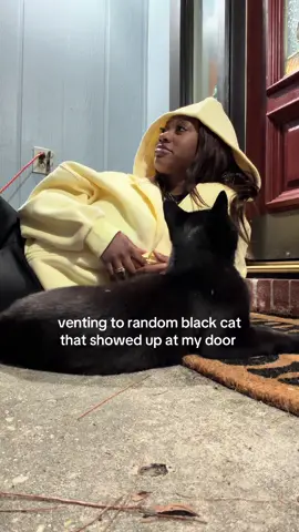 the cat distribution has a strong hold on me 