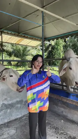 my natural habitat btw #yaoi #ilovecows 