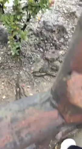 kangenn#fyppppppppppppppppppppppp #spensama68 #comandce #jakartabandung 