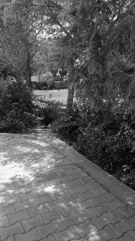 #الشيخ_احمد_الوائلي_رحمه_الله#foryou #ترند #tiktok #fyp 