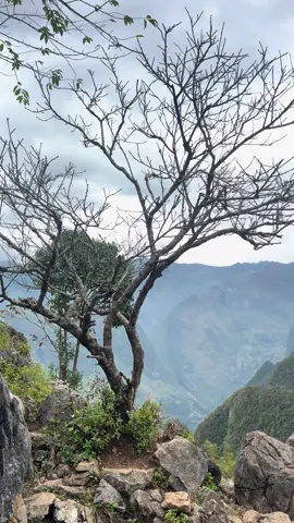 Má Pí Lèng Hôm qua 🤩 #VietnamTravel #VietnamMountains #DuLichHaGiang #hagiang #NatureVibes 