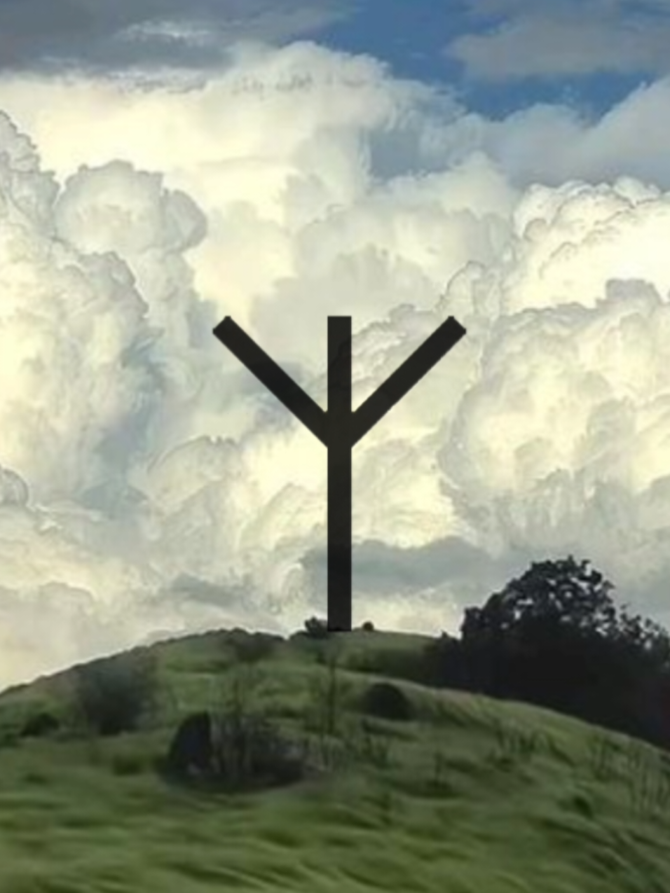 #141 #альгиз #руна #antideforestation #жизнь #природа #nature 