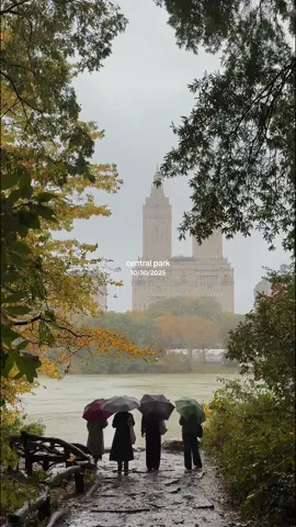 windy, rainy, and absolutely stunning. 🍂🌧️ #centralpark #centralparknyc #nyc #newyorkcitylife #fallvibes 