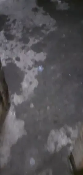 #creatorsearchinsights #fyptrndingvideoviraltiktok 