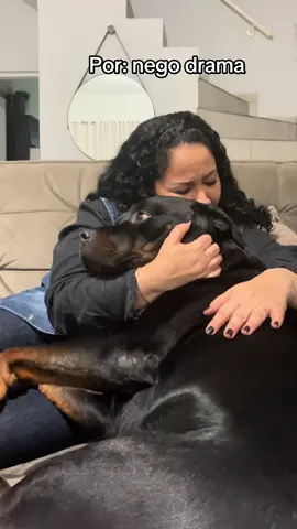 Cachorro manhoso  #cachorrao #rottweiler #cachorrosdotiktok 