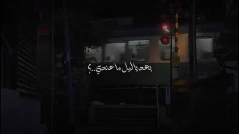 قناة التلي بالبايو ..🤎🌿