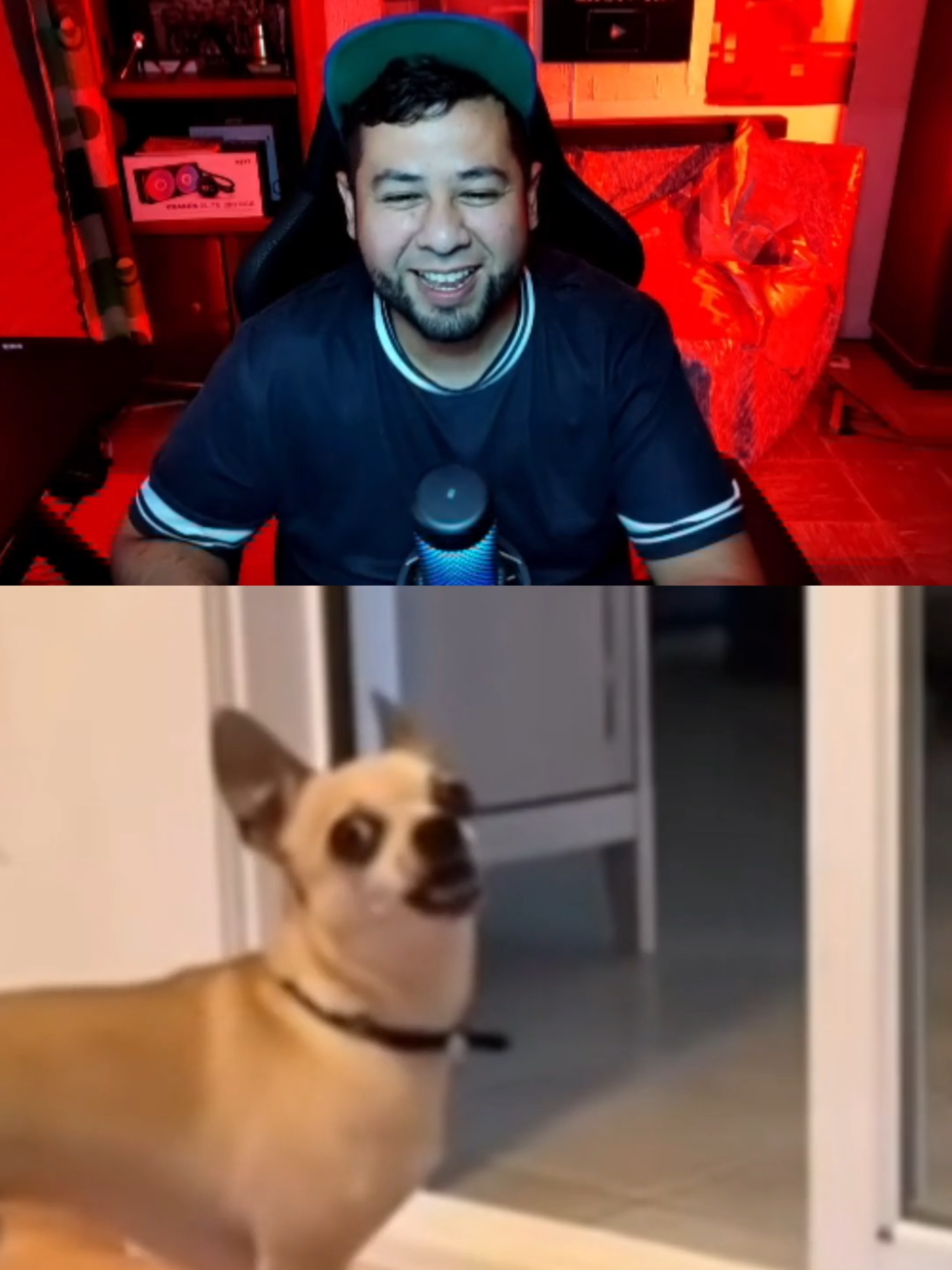 perro que ladra nooo #viral #tiktokviral #shorts #comedia #reels #fypシ #paratiiiiiiiiiiiiiiiiiiiiiiiiiiiiiii #fyp #humor #viraltiktok #paratii #reacciones #momentos #mexico