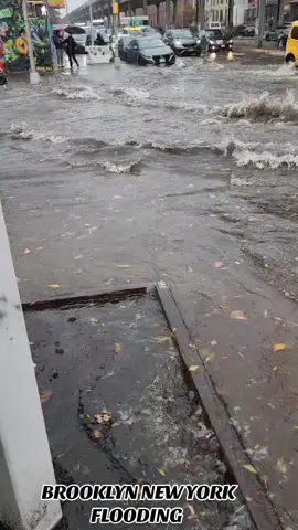 #BROOKLYN #newyork #flood #viral 