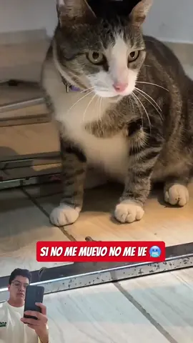 Más tieso que pan de Ayer 😂 #humor #funny #foryou #viraltiktok #memes