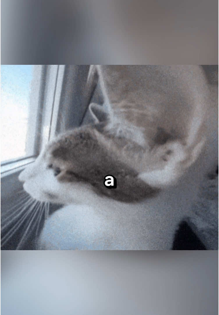 El mejor dia del año siono gente #yenya