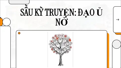 SẦU RIÊNG -Ủ HOA #sâù_riêng #ỦMẦM #nazo #KALI #lân 