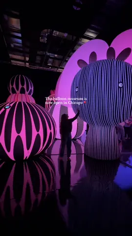 The @Balloon Museum is now open in Chicago through April 6th & it was MUCH larger than I expected with over 15 immersive exhibits dedicated to different emotions 🎈  #balloonmuseum #thingstodoinchicago 