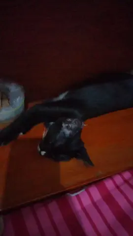 tidur yang pules ya #baturaja