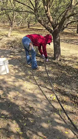 #LIVEIncentiveProgram #LIVEStory #PaidPartnership #paratiiiii #foryoupage 