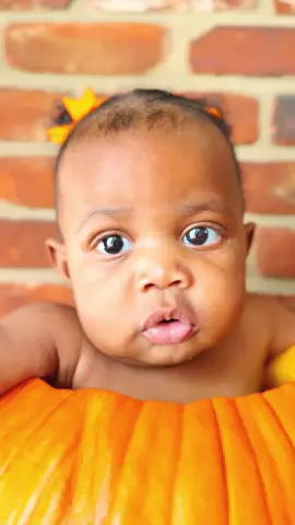 BOOLIWEEN 🎃👻💀