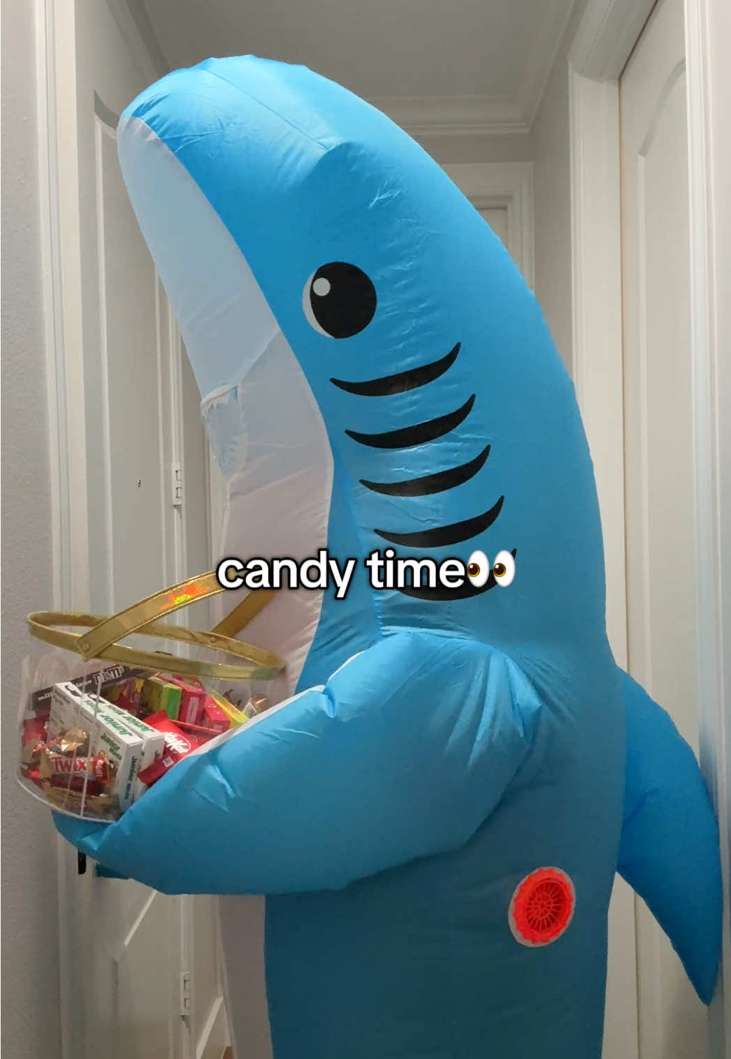 adulthood is a scam and i refuse to participate if it means i can’t get free candy #halloween #halloweencostume #fyp #candy 