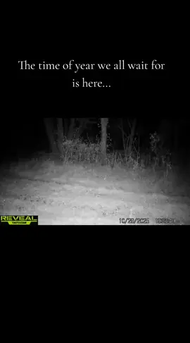 #deer #nature #hunt #Kansas #whitetail 