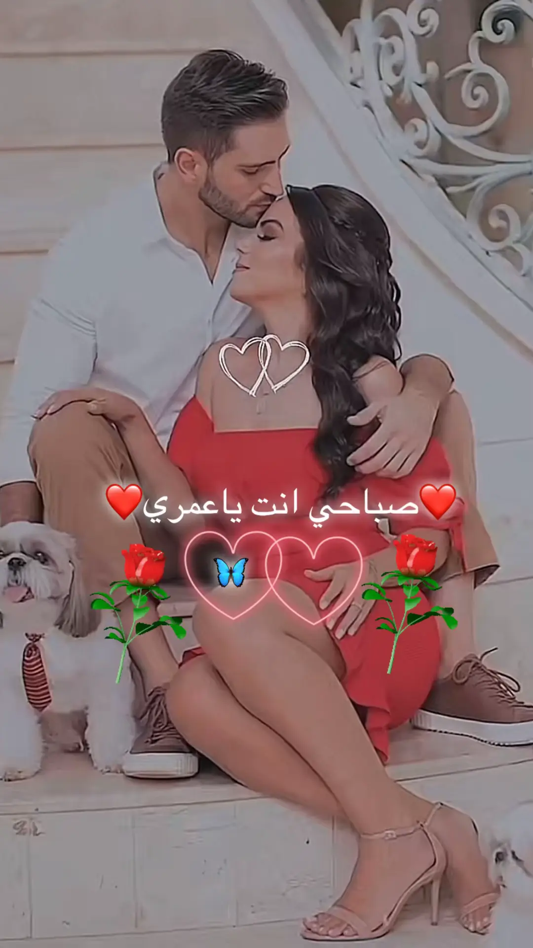 ❤️❤️❤️❤️❤️❤️❤️❤️🫂🫂🫂🫶🫶#❤️❤️❤️❤️❤️❤️❤️ #عباراتكم_الفخمه📿📌 #نبض_قلبي #👏🏻👏🏻🎼🎻💃 #tiktok 