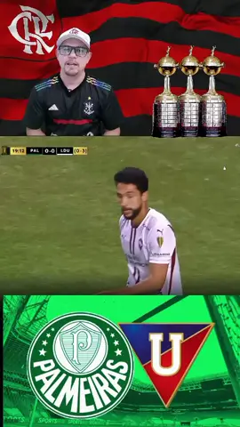 reação torcedor do Flamengo gol do Palmeiras  Palmeiras x LDU #futebol #libertadores #palmeiras #ldu #react 