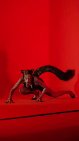 #andreabrillantes #catwoman #blackcat #halloweenmakeup 