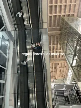 🫀#faridieck #reflexion 