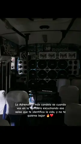 Cuando vas a si se lo más ralajd@ y te sueltan esa salsa que uff, Es la Rumbera de Caracas y yaa✨🫠🔥‼️! #LIVEIncentiveProgram #LIVEStory #PaidPartnership  #larumbera #encavastuning  @arcangel.m  @🚍🤩LA MATRIARCA🤩🚍  @TEAM AC  @ @yoiner encavas🥷🏻🇻🇪  @Yender tours  @AnthonyGEG🥷🏻  @Encavas.de.petare! 🚀  @Yone tours  🚀  @Yander Alejandro  @Escudería Los Damyr✅  @larumbera_ 