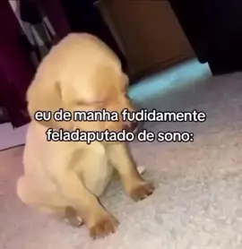 sla kakakakakakk #fypシ゚ #memes #comedia #humor #kkkk 