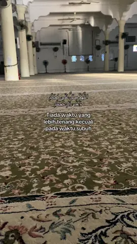 #islamicquotes #foryou #fyp #reminder 