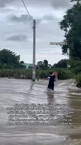 #NAMMÔADIĐÀPHẬT #BỒĐỀTÂMCAOQUÝ #TUỆGIÁCTỪBI #xuhuongtiktok #xuhuongtiktokvietnam 