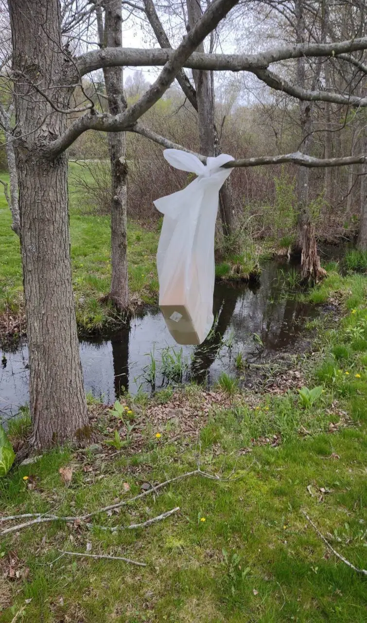 Just did exactly what you said dude so you are free to pass for pick it over whatever thanks for the trust but next time be bold enough to come and collect your package as agreed 🤣🤣😅👌 #canada🇨🇦 #toronto #unitedkingdom🇬🇧 #london #manchester 