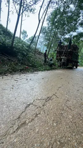 Mưa vẫn có chở là thích r hh