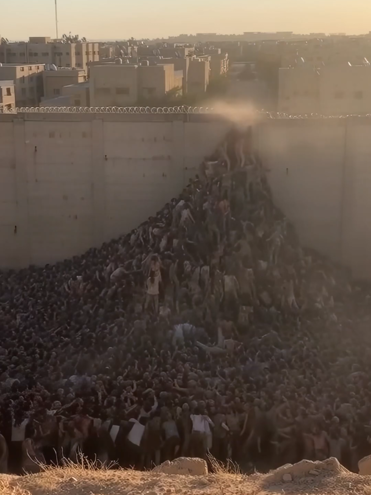 Walls mean nothing to the swarm. #nightmarefuel #zombies #outbreak #swarm #zombieapocalypse 