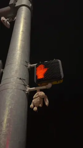 Maui wowwwieeee 🐰 #jellycat 