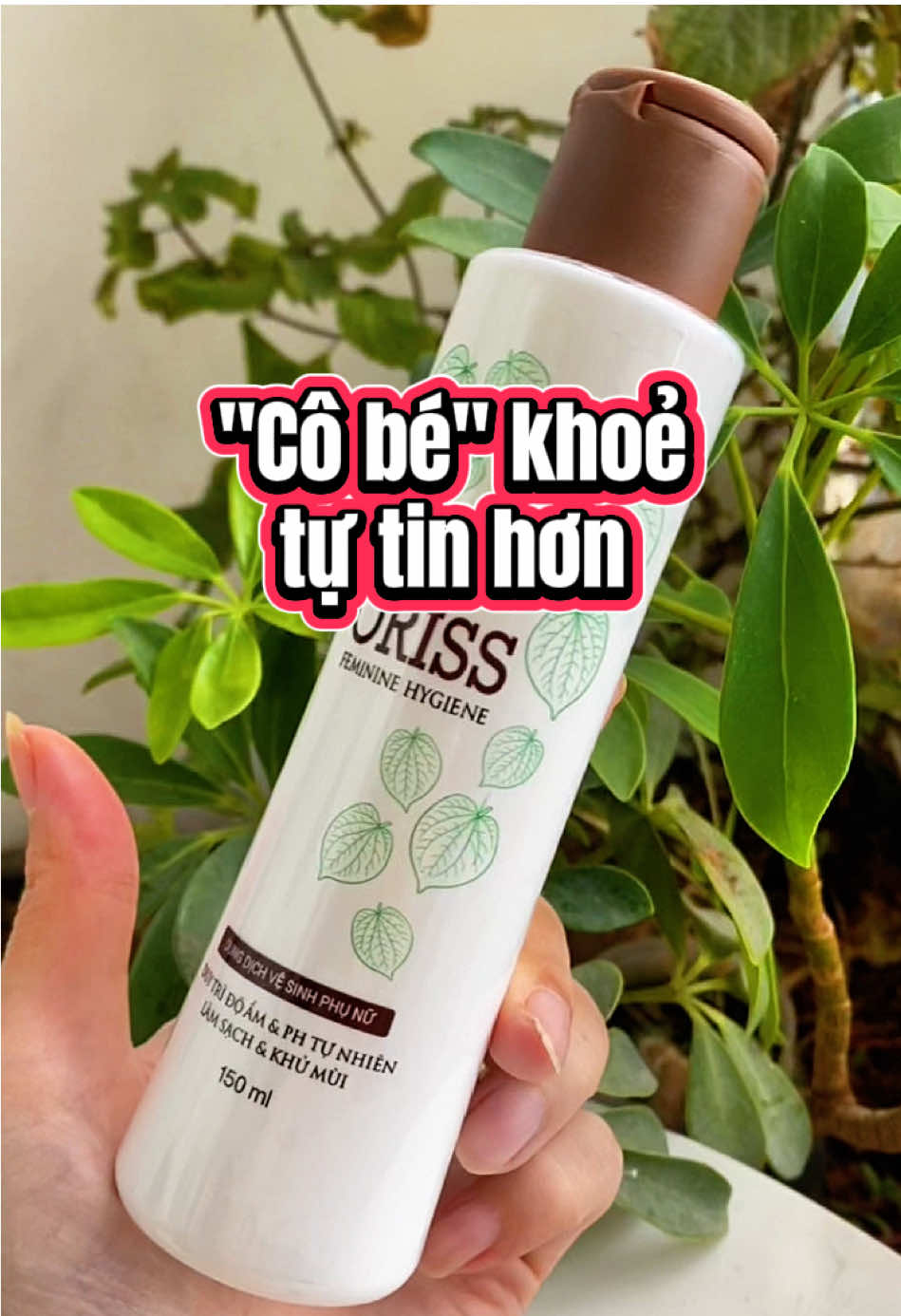 Triết xuất từ trầu không, lô hội cực an toàn và lành tính cho 