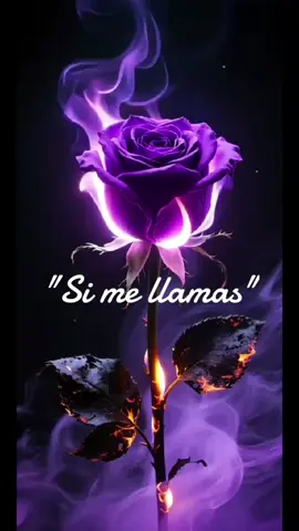si me llamas
