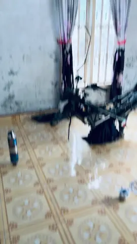 Rindu kali sih kalo ini  #cb150rmedanstayle  #cb150rceperstyle  #deprokstyle  #cb150r_jarijari  #ceperstyle 