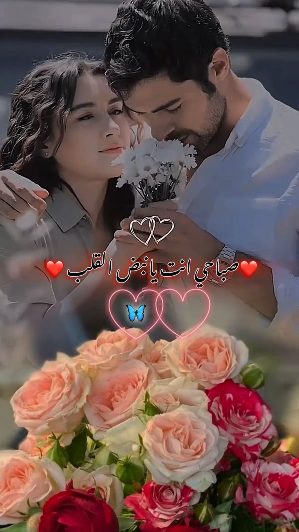 ❤️❤️❤️❤️❤️❤️❤️❤️🫂🫂🫂🫶🫶#❤️❤️❤️❤️❤️❤️❤️ #عباراتكم_الفخمه📿📌 #نبض_قلبي #👏🏻👏🏻🎼🎻💃 #tiktok 