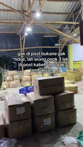 Lakyo repott🙂‍↔️