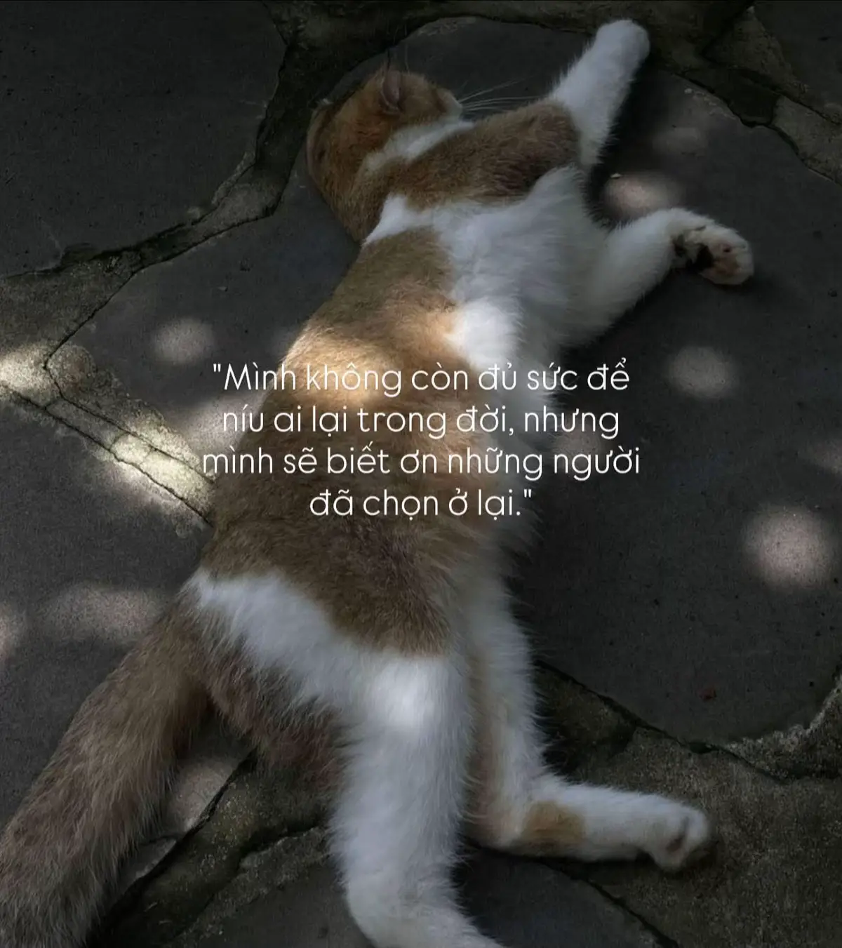 #xuhuong #hànhtrinhxaykenh #viral #xaykenhtiktok #nguoimoixaykenh 