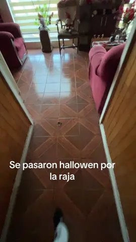 #foryoupage #paratodoelmundo #viral #para #ti 