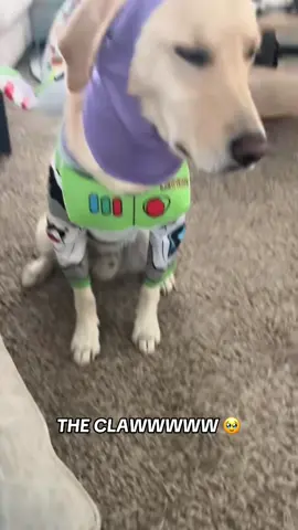 We are eternally grateful 🥹 @Project Big Screen (via:@Kaia Tahtinen) #halloween 