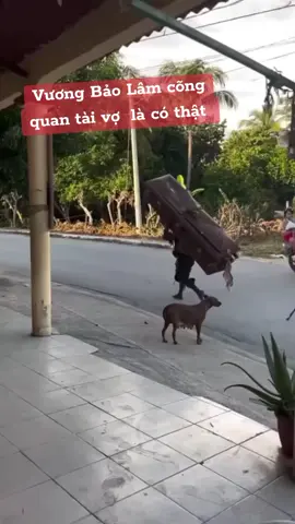 Vương Bảo Lâm đã xuất hiện ngoài đời #phimhay#nhachaymoingay #xuhuongtiktok 