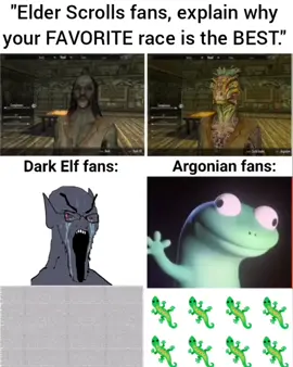 Dark Elf fans VS Argonian fans #skyrim #darkelf #argonian #elderscrolls #lizard 