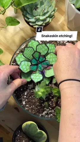 A little different… Facebook mostly hated this patterned version but… it’s Halloween? So.. #stainedglass #originalart #glassart #glassplants #plantsyoucantkill 