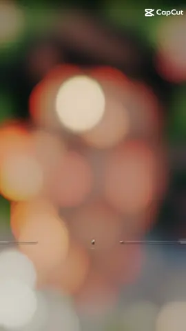 #CapCut 
