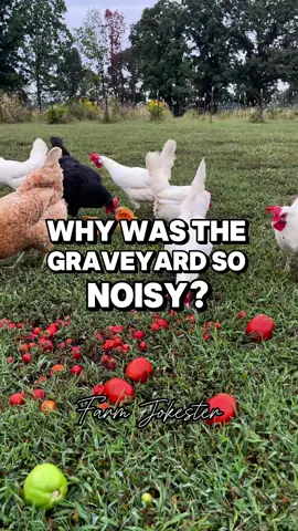 Graveyard humor: to die for!  #HalloweenHumor #cemetery #coffin #halloween #backyardchickens